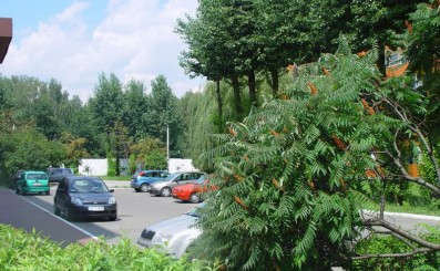 ul. Mysłowicka