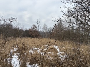 Działka, Katowice, Hadyny