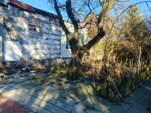 Ogródek działkowy, Katowice, Oswobodzenia 104 - ogródek działkowy (dz. 2729/80)